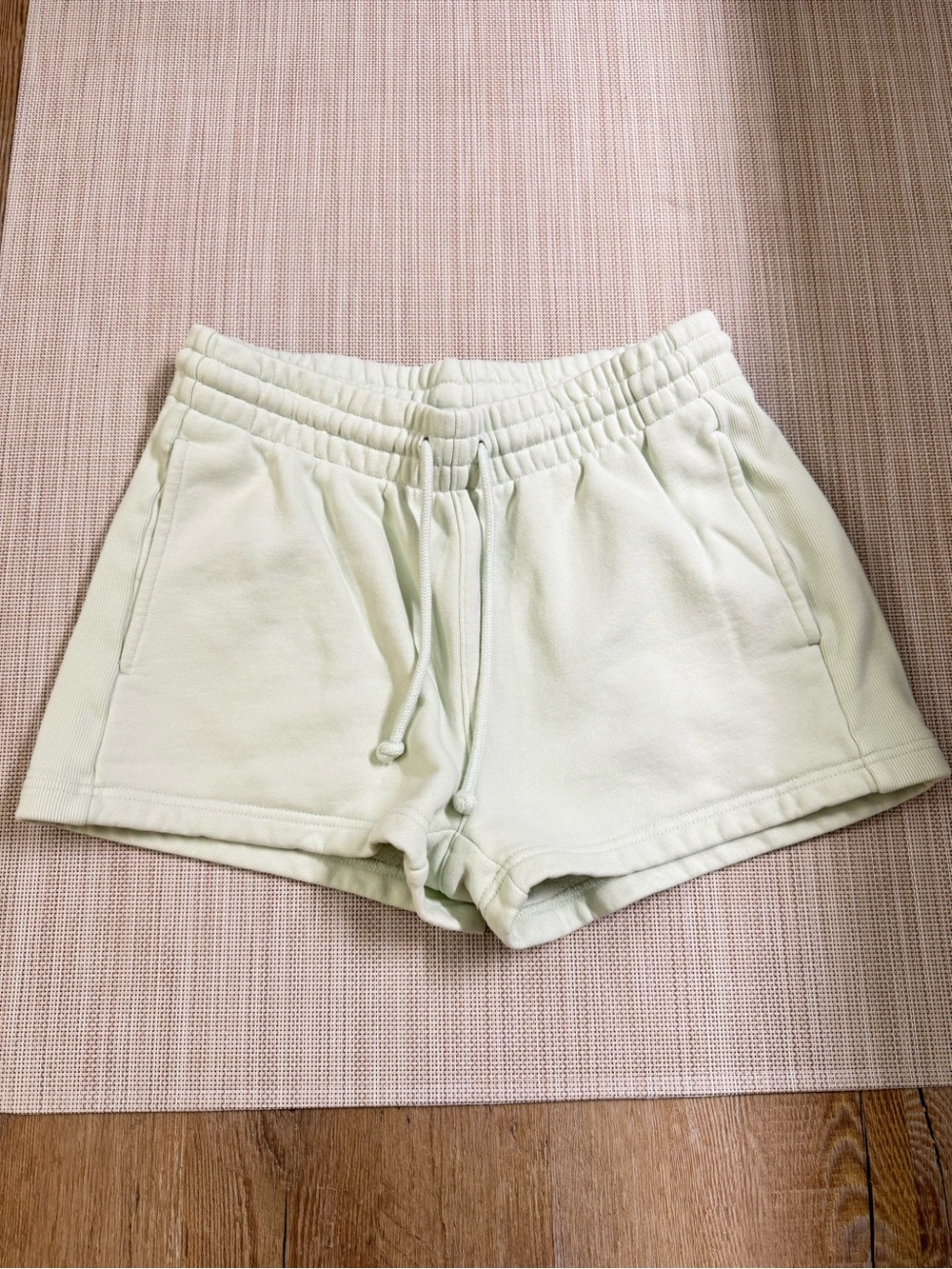 Aritzia Light Mint Drawstring Lounge Shorts